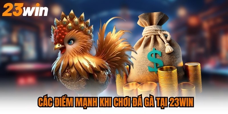 Các điểm mạnh khi chơi đá gà tại 23WIN
