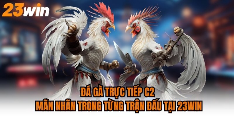 Đá Gà Trực Tiếp C2 Mãn Nhãn Trong Từng Trận Đấu Tại 23WIN